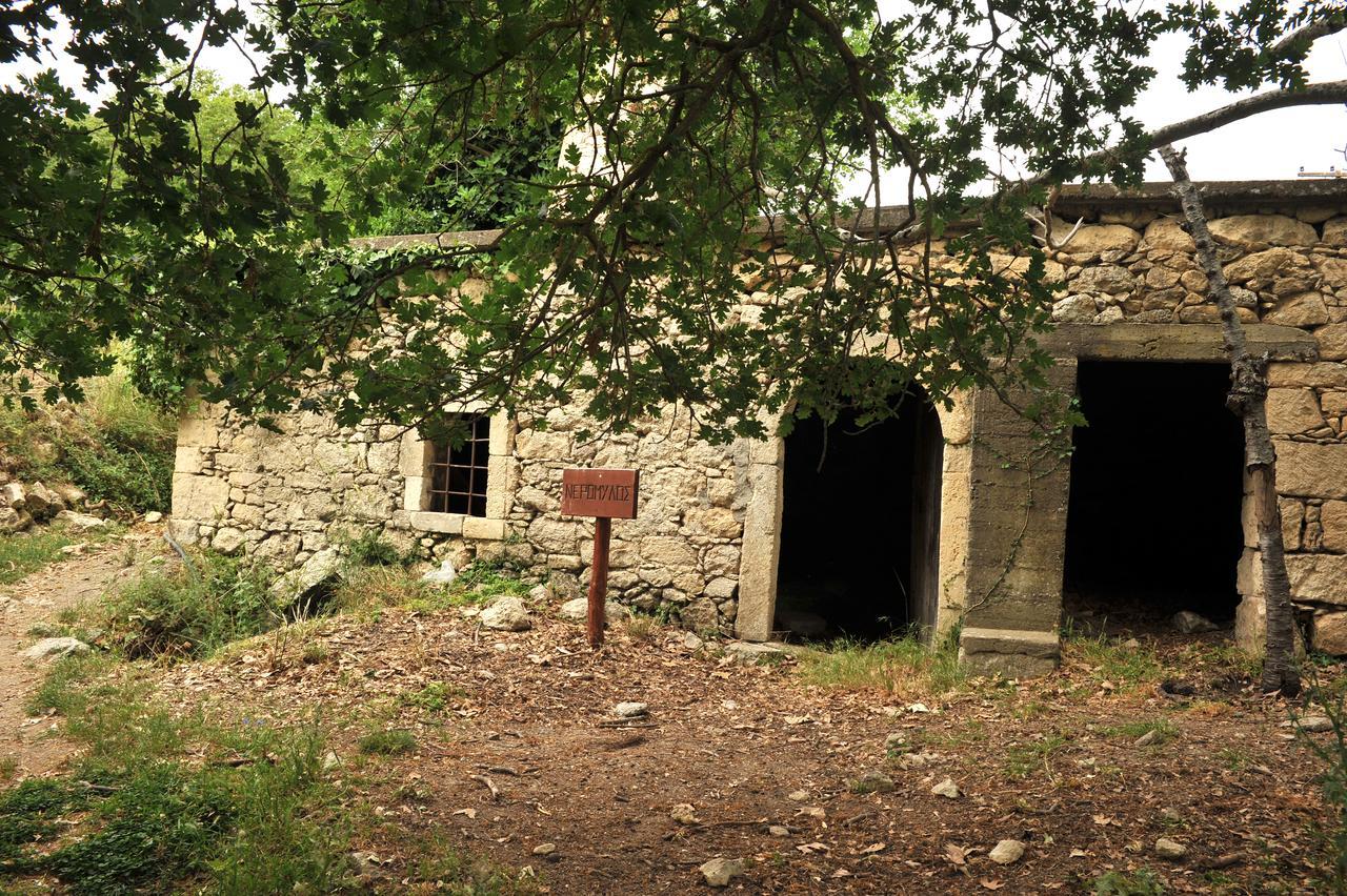 Villa Axenti Agios Thomas  Екстер'єр фото